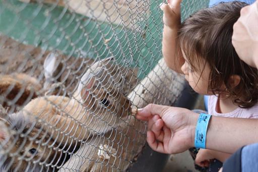 design sem nome (11).jpg