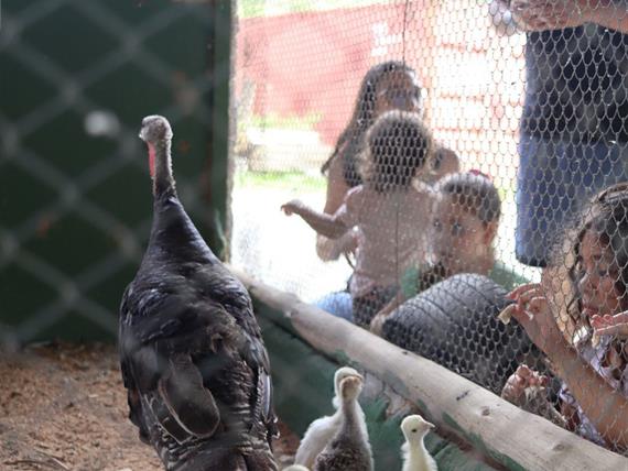 design sem nome (12).jpg