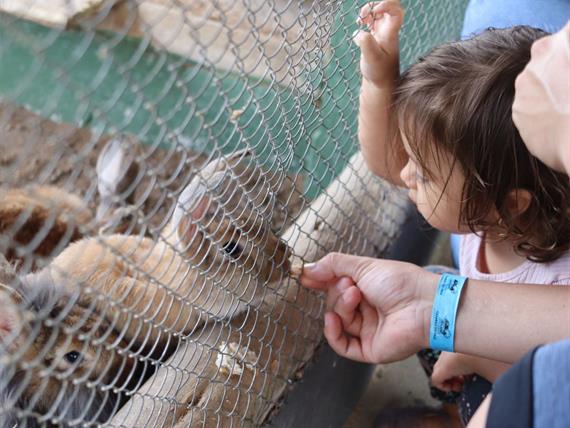 design sem nome (11).jpg