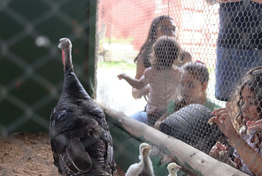 design sem nome (12).jpg