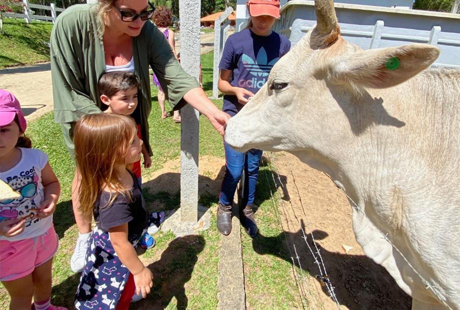 design sem nome (14).jpg