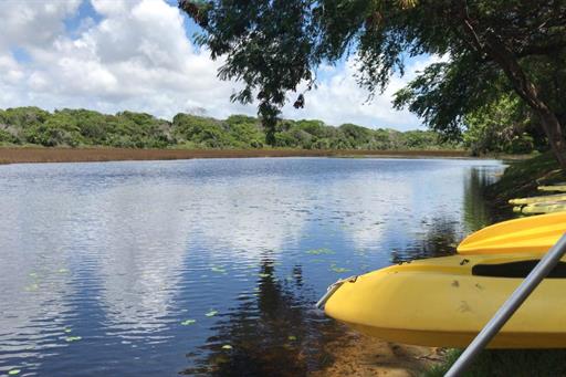 WhatsApp Image 2020-01-27 at 11.34.57.jpeg