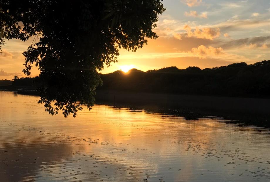 WhatsApp Image 2020-03-11 at 19.18.13.jpeg