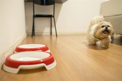 149a3953_easy-resize.com.jpg
