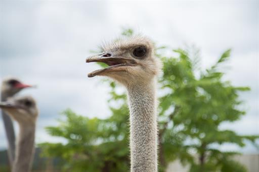 whatsapp image 2020-06-01 at 23.06.27 (2).jpeg