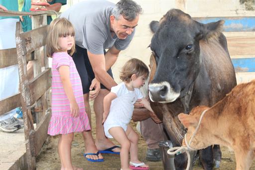 whatsapp image 2020-06-01 at 23.06.27.jpeg