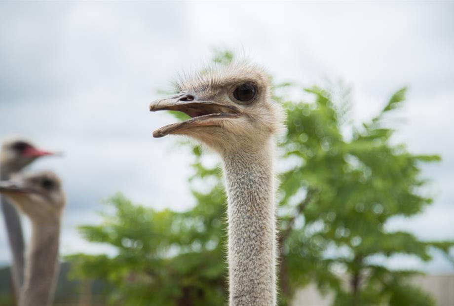 whatsapp image 2020-06-01 at 23.06.27 (2).jpeg