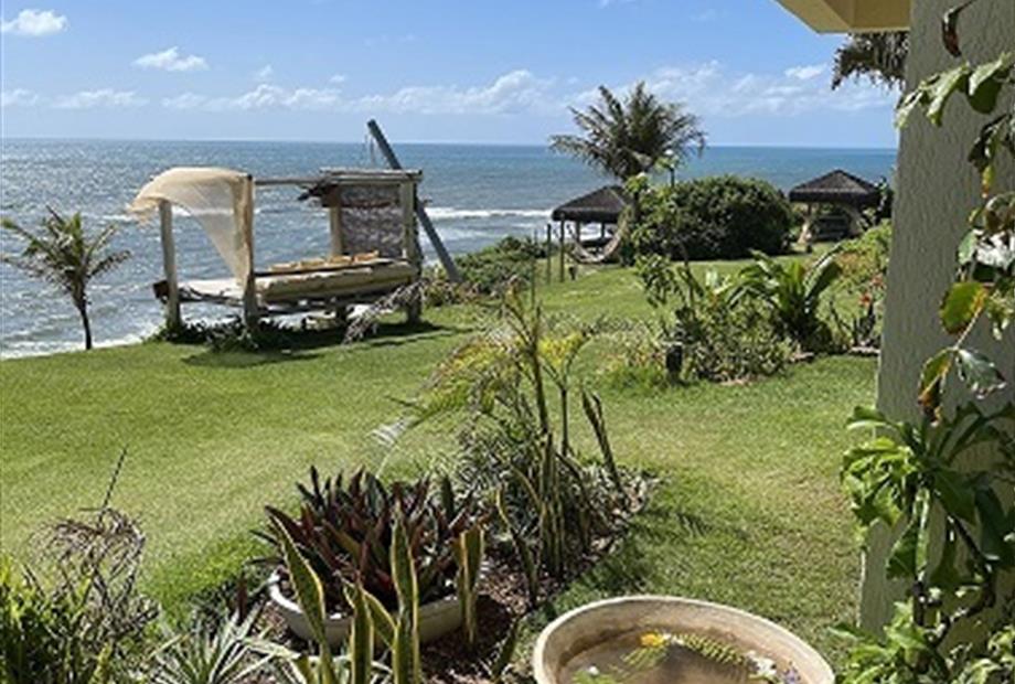 img_0025 - baixa.jpg