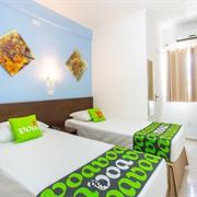 Standard Duplo Solteiro