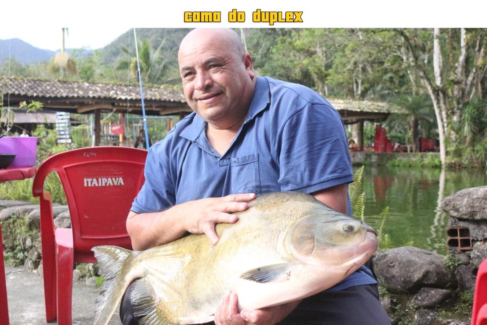 página 2.jpeg