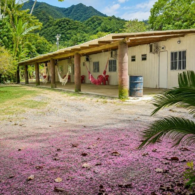 feriado ubatuba (5).jpg