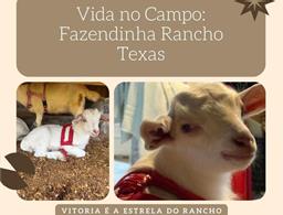 Rancho Texas Ubatuba