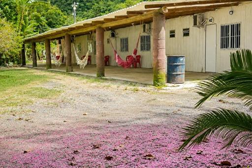feriado ubatuba (5).jpg