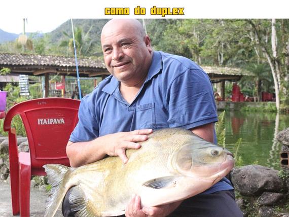 página 2.jpeg