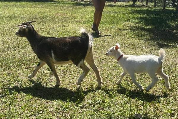 Foto 41 do Rancho Texas Ubatuba