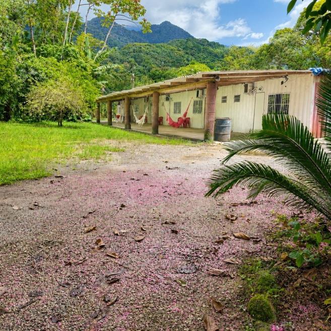 feriado ubatuba (4).jpg