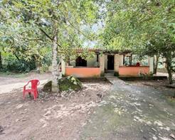 Suite da Roça (ideal para quem gosta da natureza)