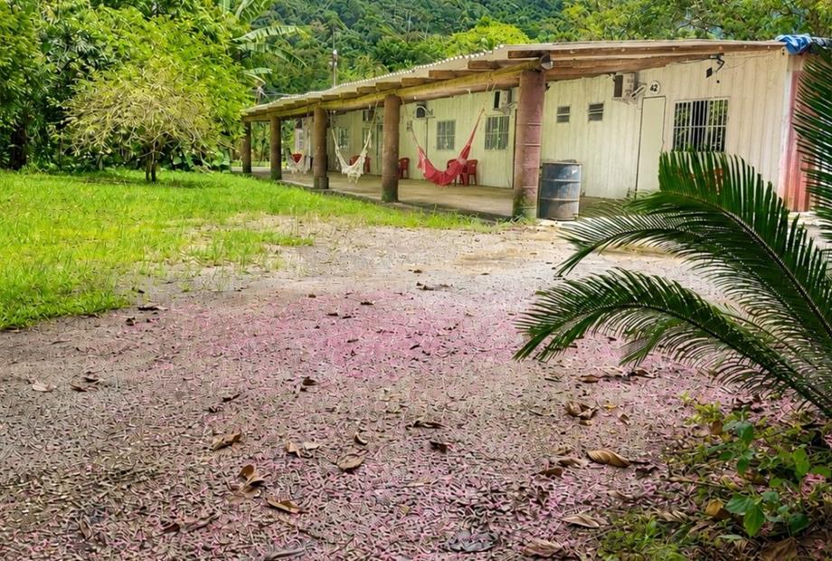 feriado ubatuba (4).jpg