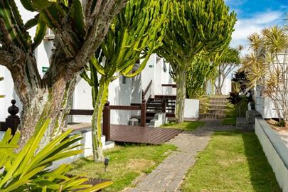 cópia de rb101377.jpg