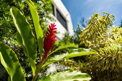 cópia de rb103417.jpg