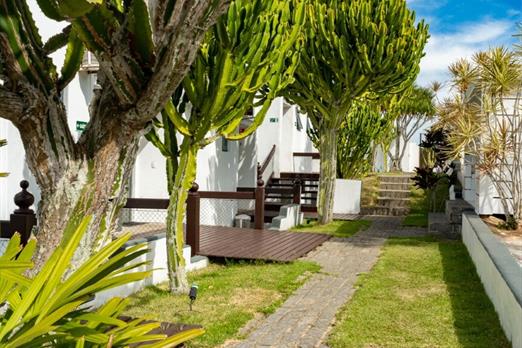 cópia de rb101377.jpg