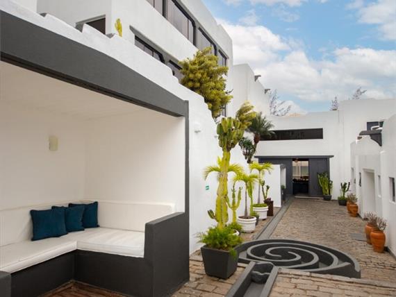 cópia de greco-26.jpg