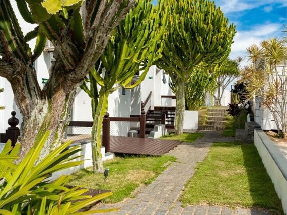 cópia de rb101377.jpg