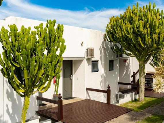 cópia de rb101379.jpg