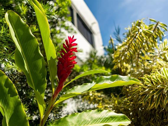 cópia de rb103417.jpg