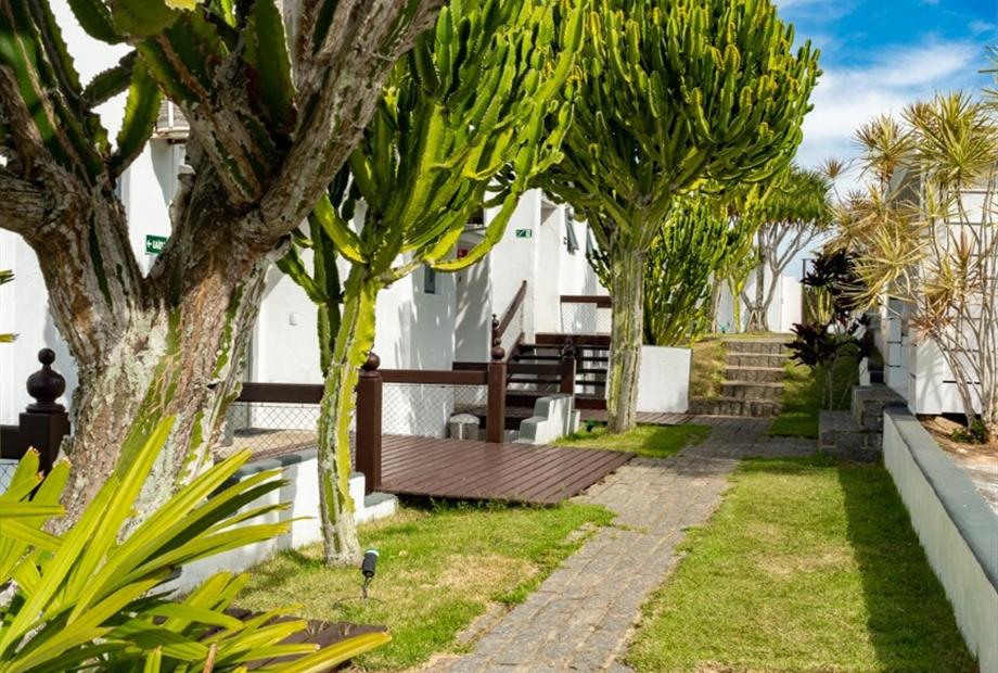 cópia de rb101377.jpg