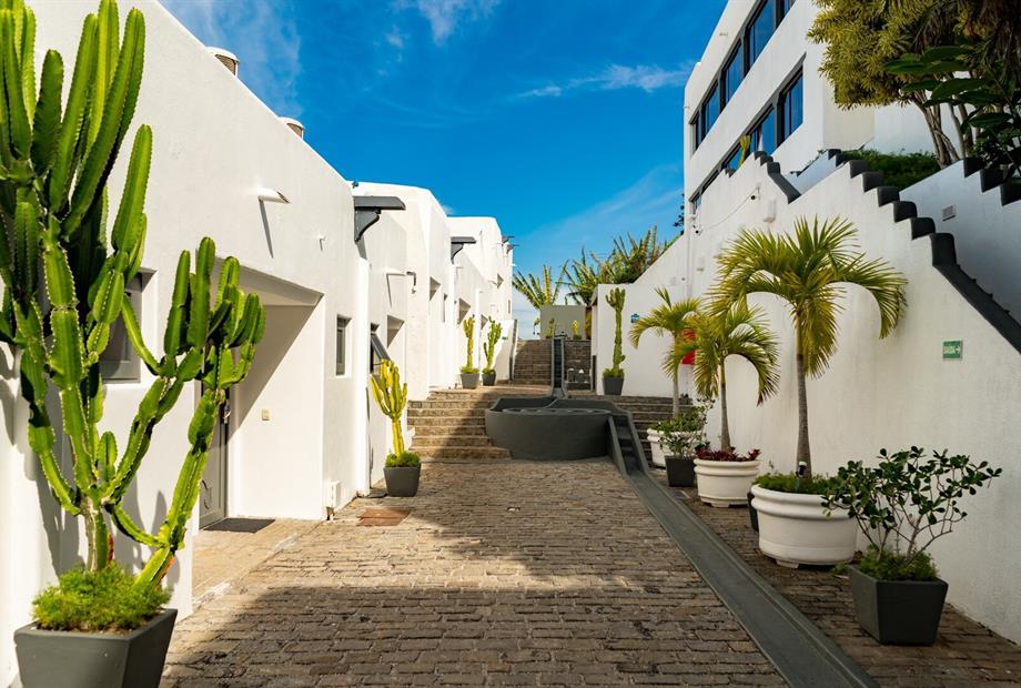 cópia de rb101347.jpg