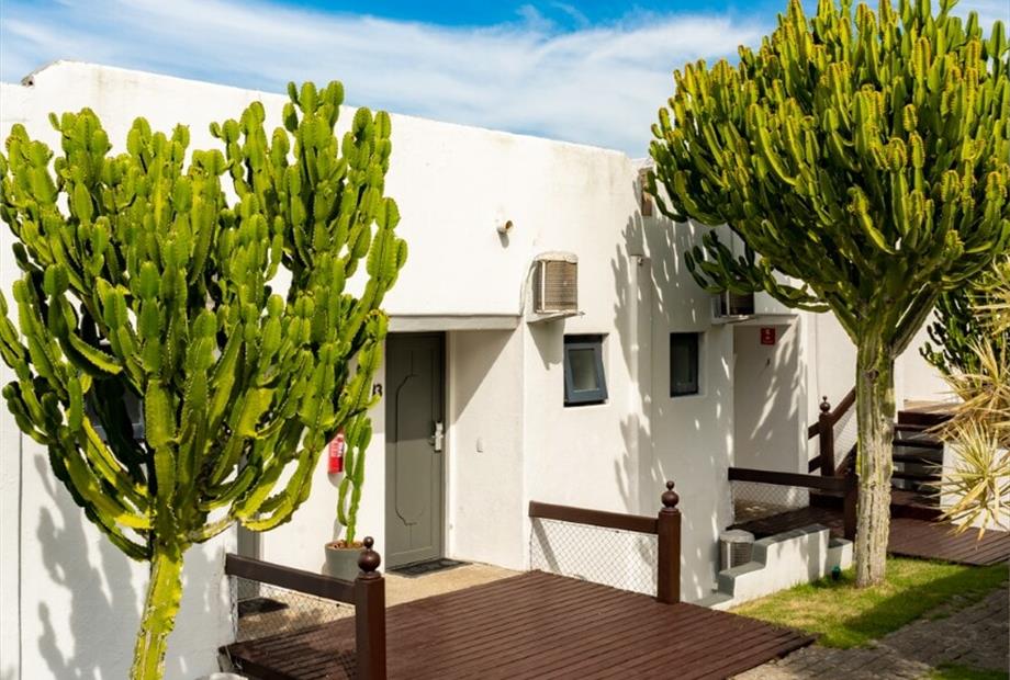 cópia de rb101379.jpg