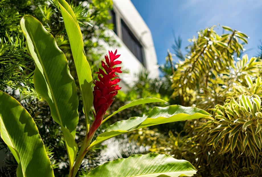 cópia de rb103417.jpg