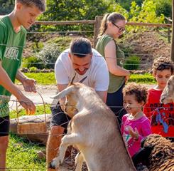 whatsapp image 2025-09-20 at 13.30.29 (5).jpeg