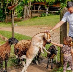 whatsapp image 2025-09-20 at 13.30.29 (6).jpeg