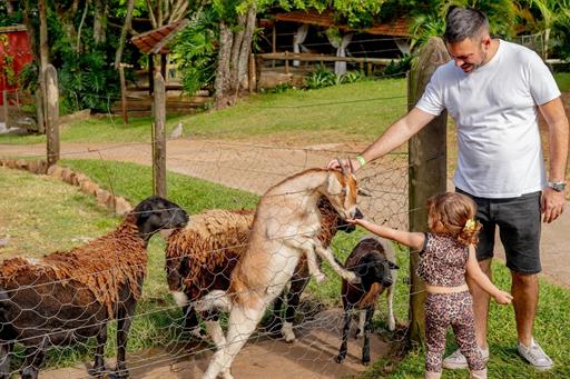 whatsapp image 2025-09-20 at 13.30.29 (6).jpeg