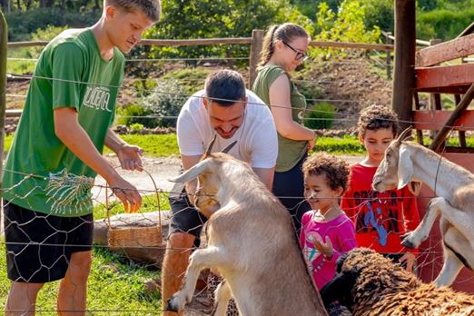 whatsapp image 2025-09-20 at 13.30.29 (5).jpeg