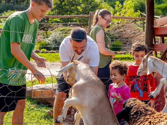 whatsapp image 2025-09-20 at 13.30.29 (5).jpeg