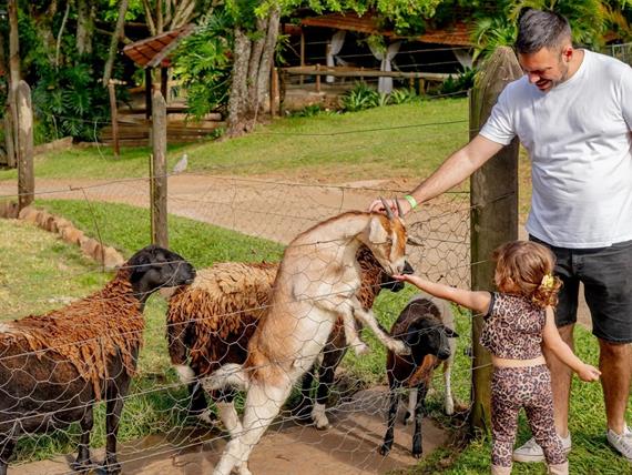 whatsapp image 2025-09-20 at 13.30.29 (6).jpeg