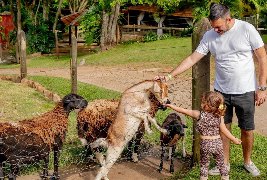 whatsapp image 2025-09-20 at 13.30.29 (6).jpeg