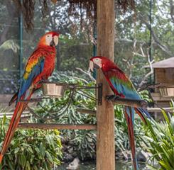 whatsapp image 2026-01-12 at 10.01.26.jpeg