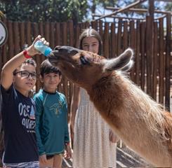 whatsapp image 2026-01-12 at 10.02.20.jpeg