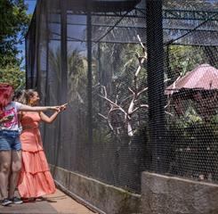 whatsapp image 2026-01-12 at 10.04.10.jpeg