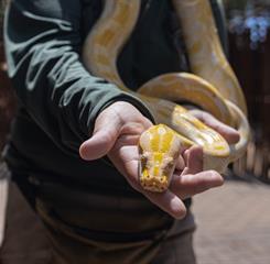 whatsapp image 2026-01-12 at 10.02.06.jpeg