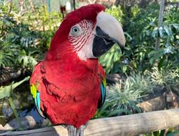 Ody Park Aquático e Resort Hotel