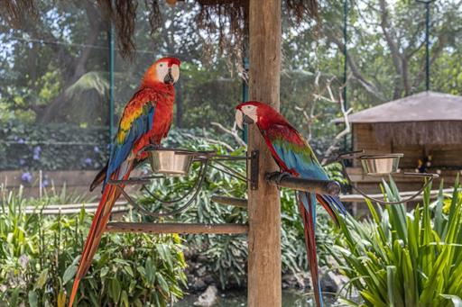 whatsapp image 2026-01-12 at 10.01.26.jpeg