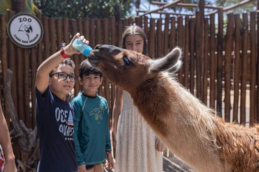 whatsapp image 2026-01-12 at 10.02.20.jpeg