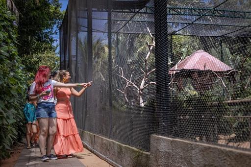 whatsapp image 2026-01-12 at 10.04.10.jpeg