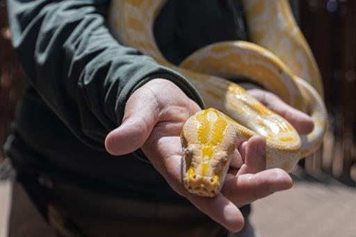 whatsapp image 2026-01-12 at 10.02.06.jpeg