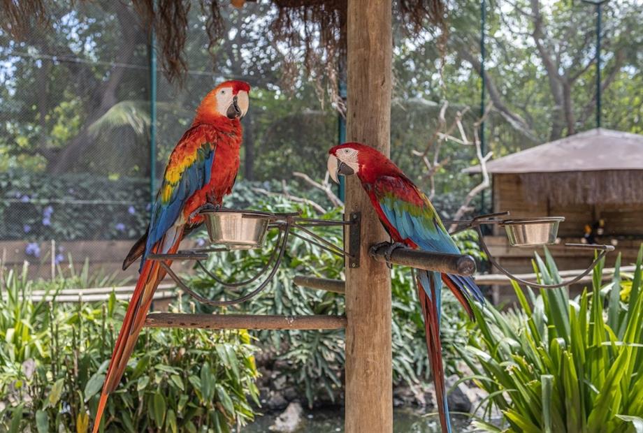 whatsapp image 2026-01-12 at 10.01.26.jpeg